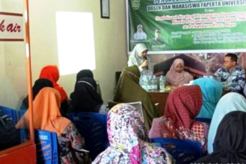 sosialisasi